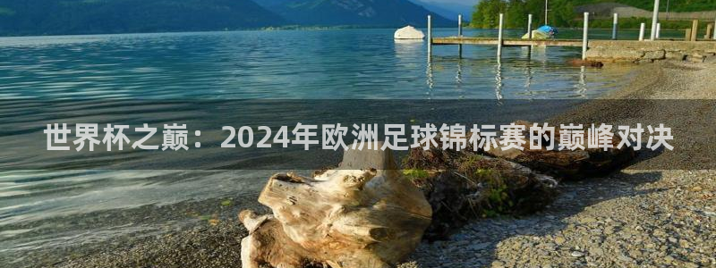看世界杯：世界杯之巔：2024年歐洲足球錦標賽的巔峰對決