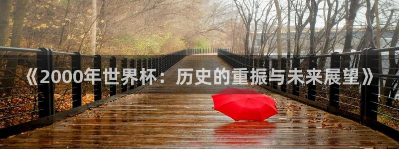 世界杯足球賽2026賽程時間：《2000年世界杯：歷史的重振與未來展望》