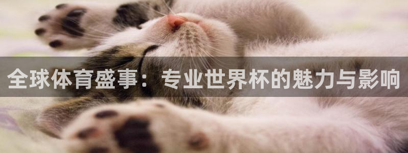世界杯賽程表2026:全球體育盛事:專業世界杯的魅力與影響