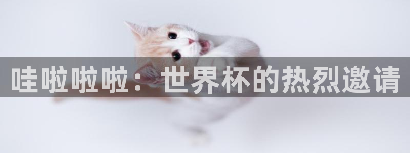 世界杯2026比賽時間表:哇啦啦啦:世界杯的熱烈邀請